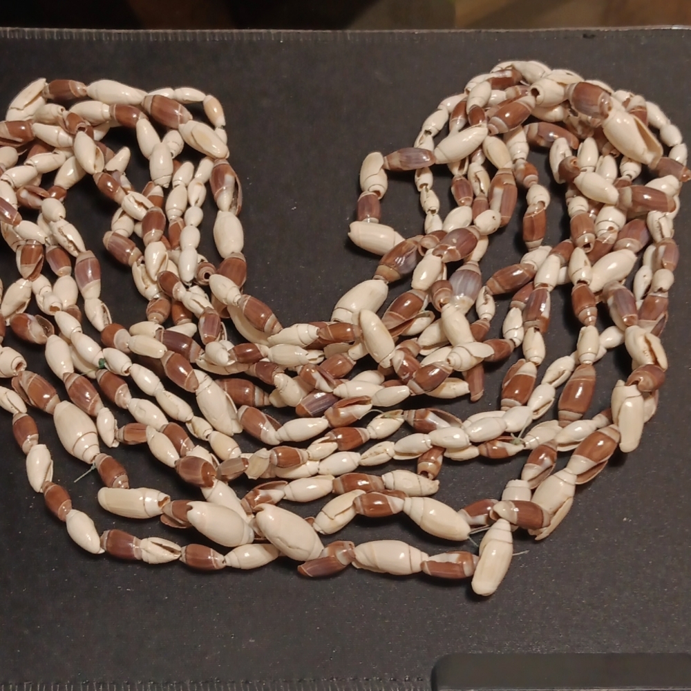 Tropical Natural Fresh Shell Beads